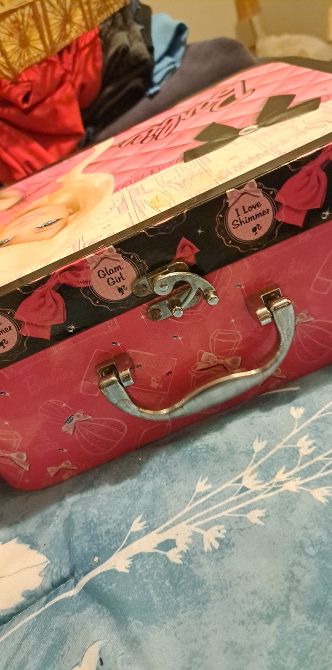 Barbie Case - Picture 4 of 6